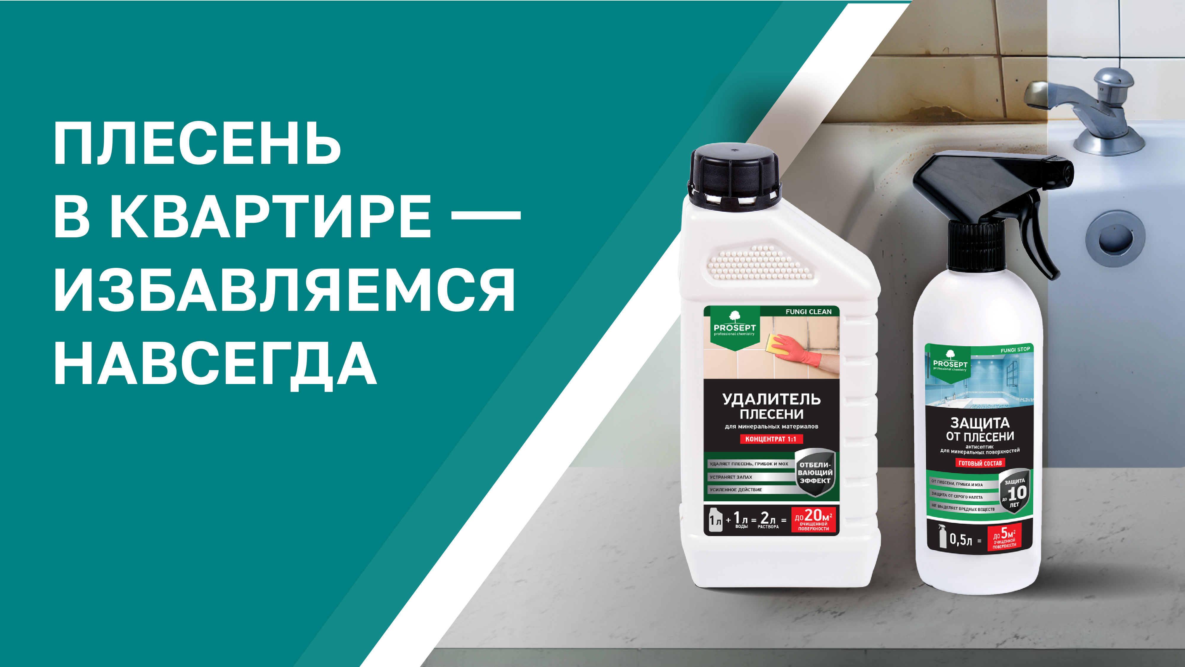 Чек-лист: избавляемся от плесени в квартире