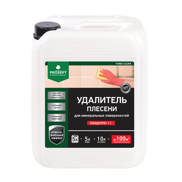Очистка минеральных поверхностей PROSEPT FUNGI CLEAN 5 л
