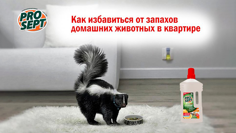 e52dbde4e10e3e26768ecfe803189cef.jpg